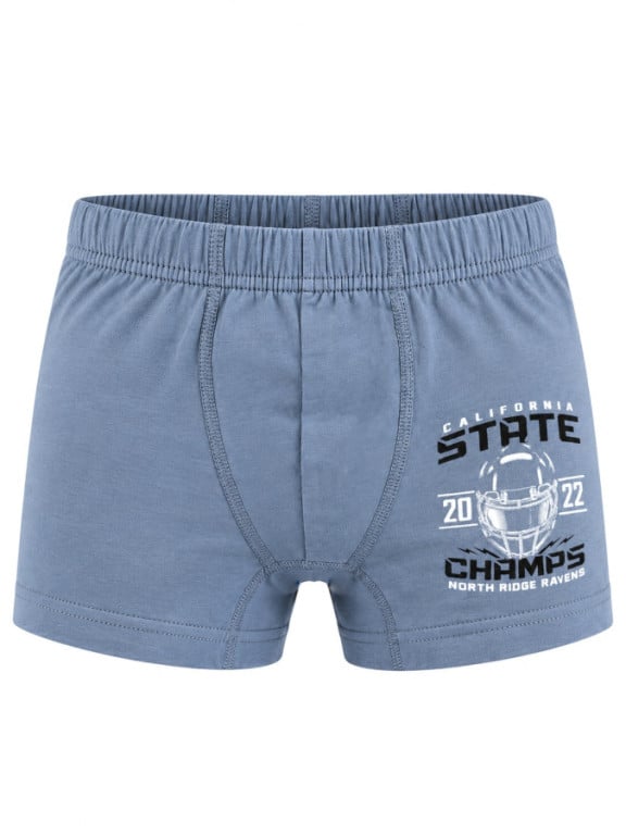 Dětské boxerky DET5 CHAMPS šedá č.1